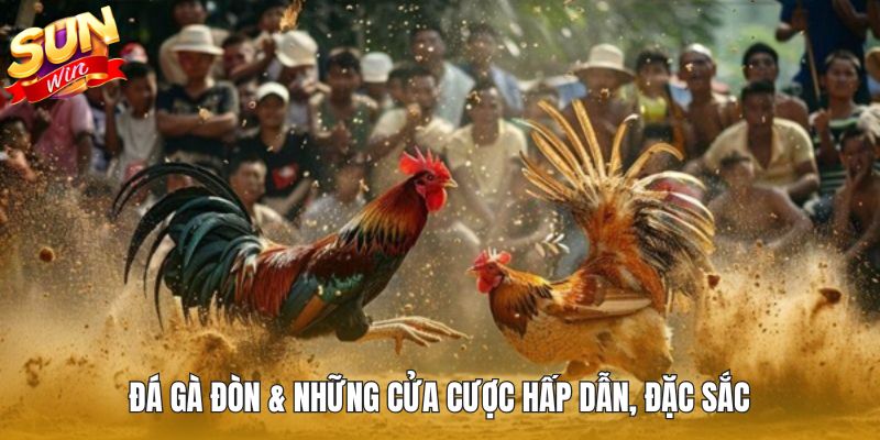 Đá gà đòn & những cửa cược hấp dẫn, đặc sắc