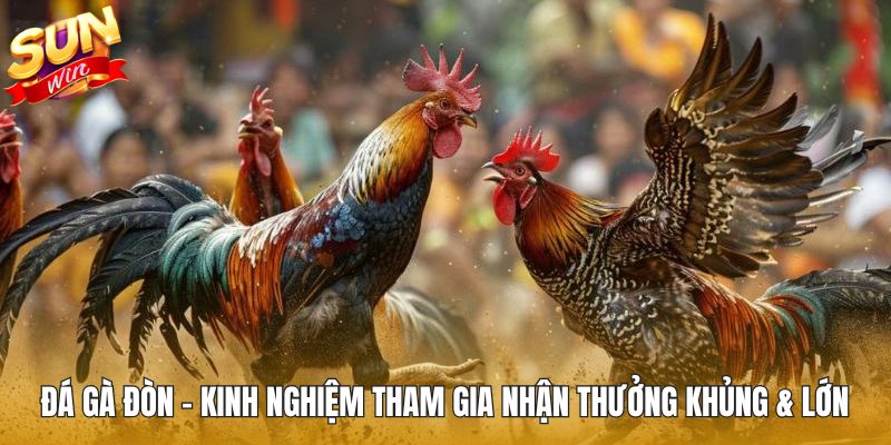 Đá Gà Đòn - Kinh Nghiệm Tham Gia Nhận Thưởng Khủng & Lớn