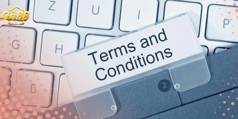 Quyền và trách nhiệm người dùng